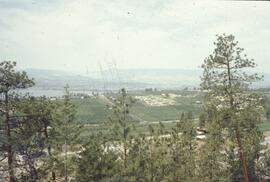 Orchard and vineyard near Kelowna