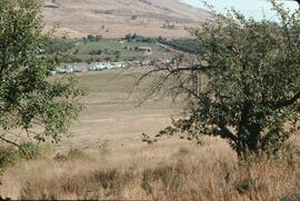 Mobile home park near Coldstream