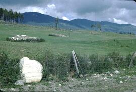Class 1 agricultural land, Swan Lake