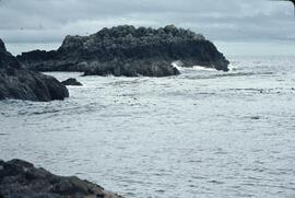 Tar Islands in the Queen Charlotte Islands