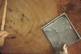 Don Benn holding photo beside stump annual tree rings