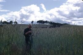 Rye on 5e at Kenney Dam Road