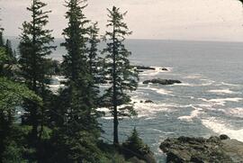 Coastal view from Panchena Lookout