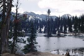 Lake on Skyway on the Salmo-Creston Highway