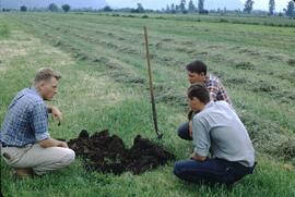 Herb Luttmerding and field soils survey crew at Pitt Polder during Fraser Valley Soil Survey