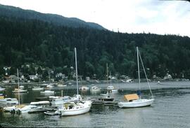 Deep Cove marina