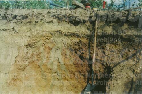 Original Digital object not accessible