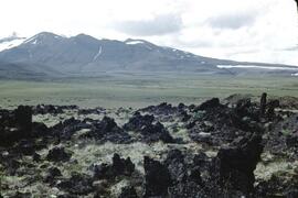 Volcanic flow material at Mount Edziza Provincial Park