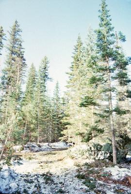 Summit Lake, March 1992