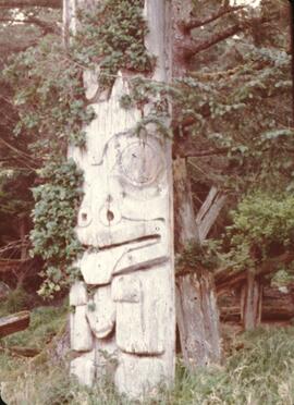 Ninstints totem poles at Anthony Island