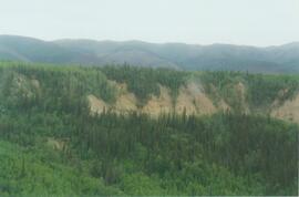 15 Mile R site aerial view - 03