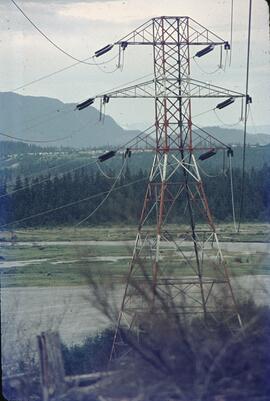Hydro utility poles crossing estuary