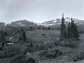 View west from camp on Duck Creek at Copper Mountain