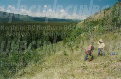 Original Digital object not accessible