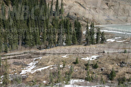 Original Digital object not accessible