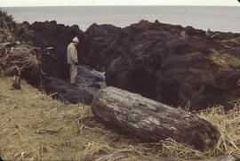 Wave eroded rock near Masset