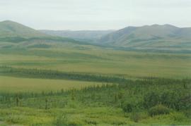 Richardson Mts, Arctic Circle lookout, Dempster Hwy - 04