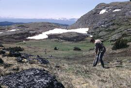 Pete digging on Dome Mountain
