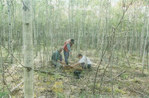 Original Digital object not accessible