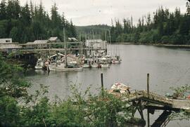 Marina and buildings at Bamfield
