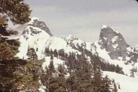 Snowscapes of the Lions