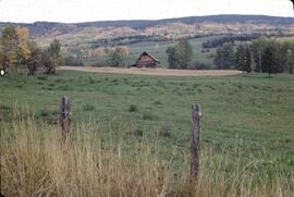 Fall colours and farmland near Glentanna