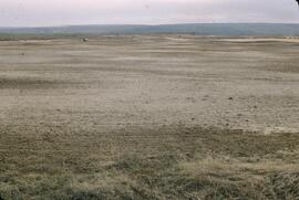Soil pattern on fallow farmland at Two Rivers