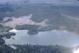 Aerial view of forest and lake