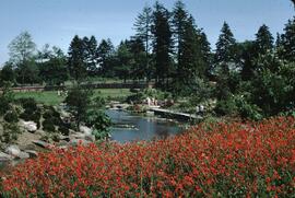 VanDusen Botanical Gardens