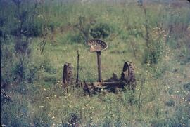 Old rusted horse drawn cultivator