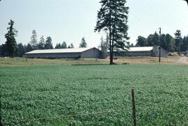 Turkey livestock buildings near Nanaimo