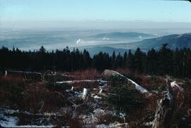 View of landscape and factories from mountain at Burke Ridge