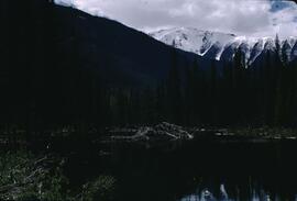 Beaver lodge with mountain view at Horsethief Creek