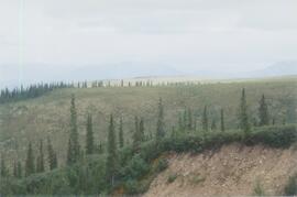 Inlin Brook panorama (5)
