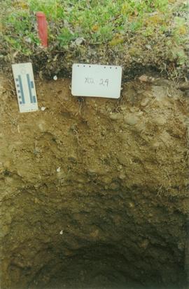 Y02-24 Div Ck soil, km 566 Klondike Hwy - 04