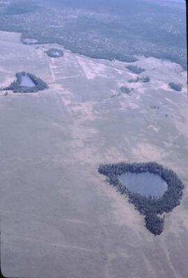 Aerial view of ponds on rangeland near Riske Creek