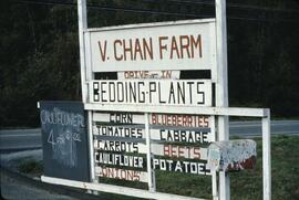 V. Chan Farm sign advertising bedding plants and vegetables