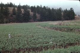 Becker Properties Ltd. residential development land for sale near Invermere