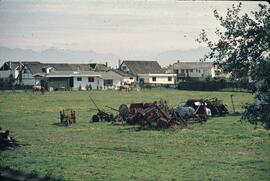 Field with horses and old farm equipment next to a suburb in the Delta-Richmond area