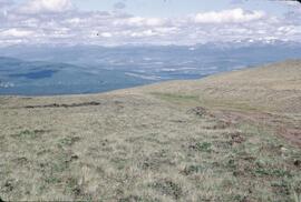 Mineral exposure and grassy alpine in Hunter Basin, Telkwa Range