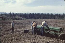 New cultivation and seed drilling near Fort Nelson