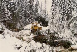 D-4 tracked skidder on B Road at Summit Lake Selection Trial