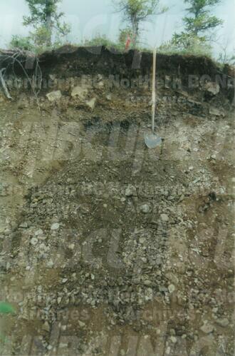 Original Digital object not accessible