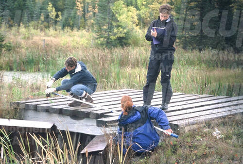 Original Digital object not accessible