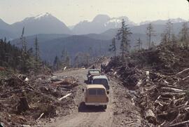Logging operation, Nimpkish Valley