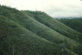 Dry sage slopes at Tuya River