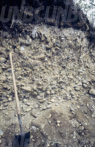 Original Digital object not accessible