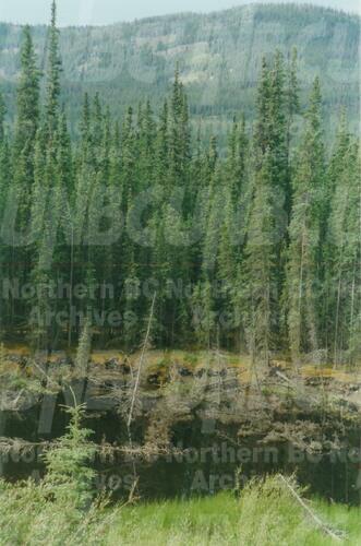 Original Digital object not accessible