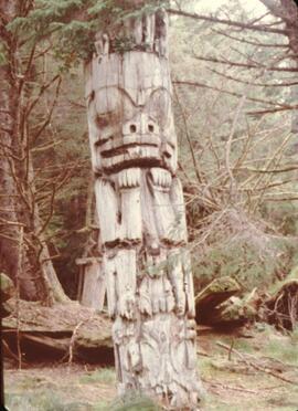 Ninstints totem poles at Anthony Island