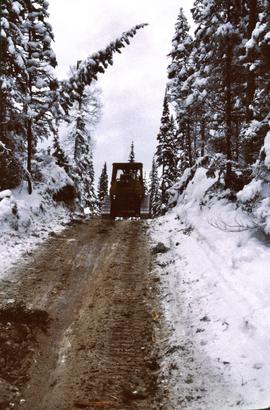 D4H high-drive tracked skidder on skid road at Summit Lake Selection Trial